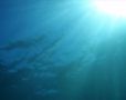 Ocean Reflectio...